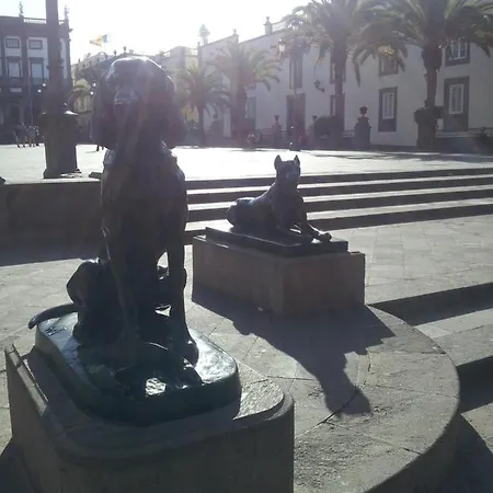 公寓 Jurel Vivienda Estudio 大加那利岛拉斯帕尔马斯