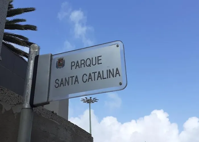 Jurel Vivienda Estudio 公寓 *